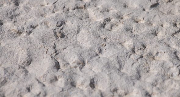 Sinai Peal Dusty Rock-Face limestone tiles