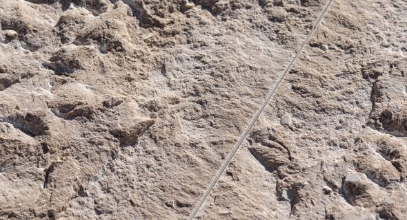 Sinai Pearl Rock-Face