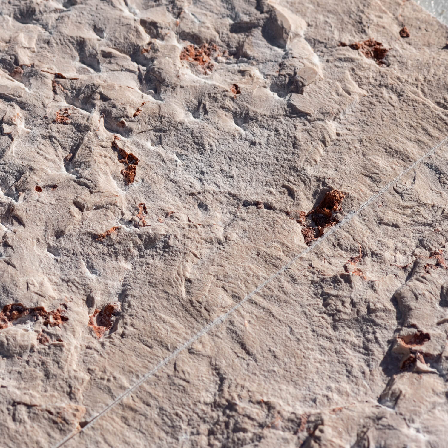 Zafrana Rock-Face