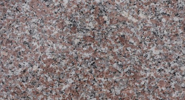 Rosa El Nasr Polished