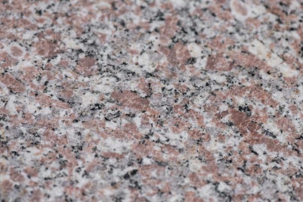 Rosa El Nasr Polished