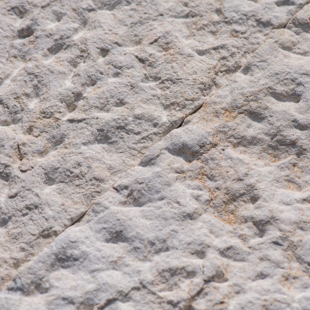 Minya Dusty Rock-Face