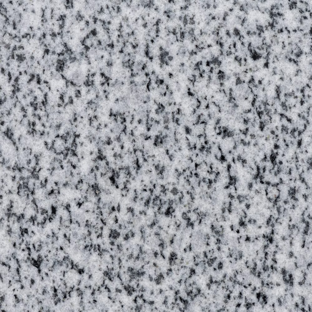 New Halayeb Polished