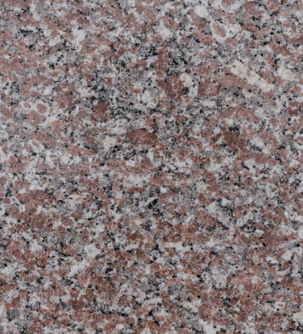 Rosa El Nasr Polished