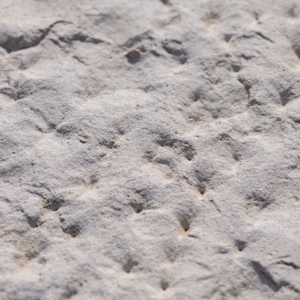 Sinai Peal Dusty Rock-Face