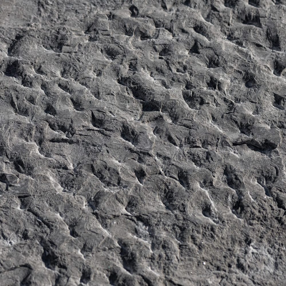 London Grey Rock-Face limestone tiles for outdoors and indoors wall cladding