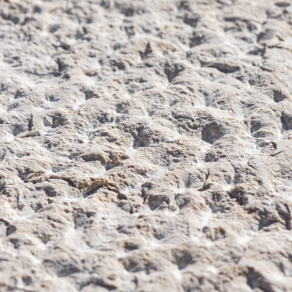 Galala Rock-Face Galala Rock-Face Limestone tiles for wall cladding